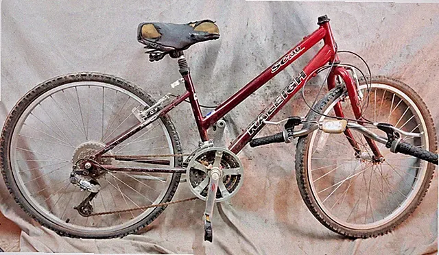 96 Raleigh SC30 Sport MTB Bike 16" Small Hardtail Rigid Steel Step-Thru USA Made