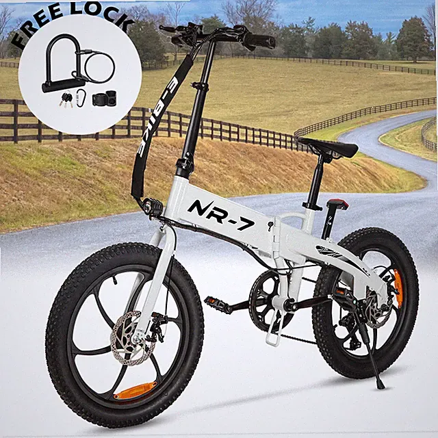 E bike 20" 750W Electric Bike Bicycle Foldable Fat Tire Mountain Snow Ebike