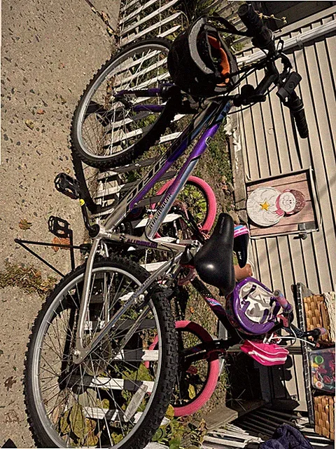 Genesis Whirlwind 26" Women's 21-Speed Mountain Bike - Gray/Pink