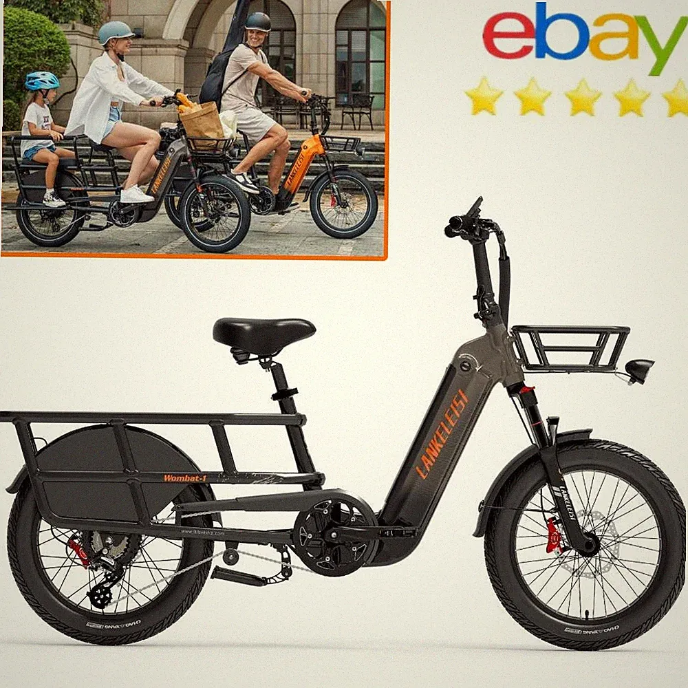 Lankeleisi Electric Bike Cargo Fat Tire E-Bike 1000// 20Ah Samsung Battery 30mph