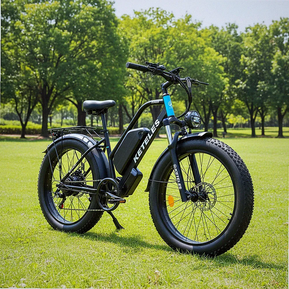 Limited Sale 26" Fat Tire XF4000 1000W 48V 23Ah Electric Bike Bicycle 30MPH US
