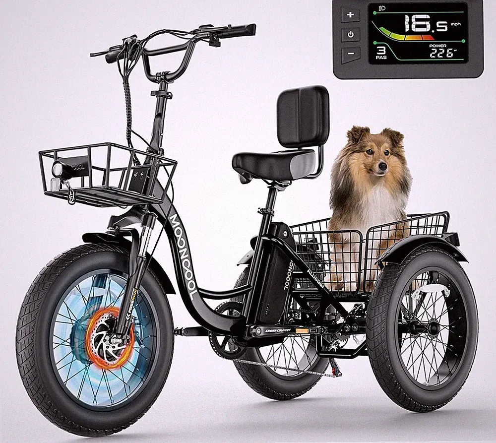 30 Speeds Tricycle