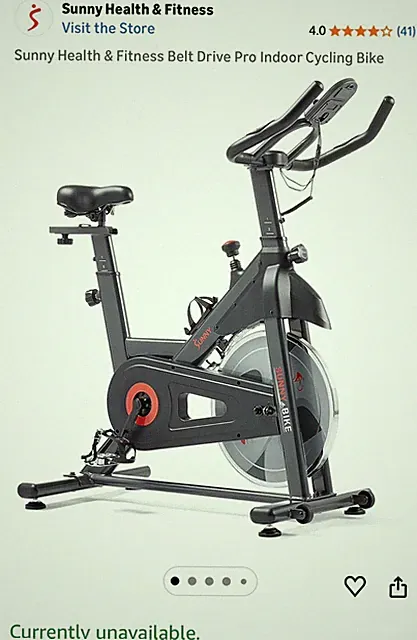 Sunny Health Fitness Elite Series Exercise Recumbent Bike - SF-B122055